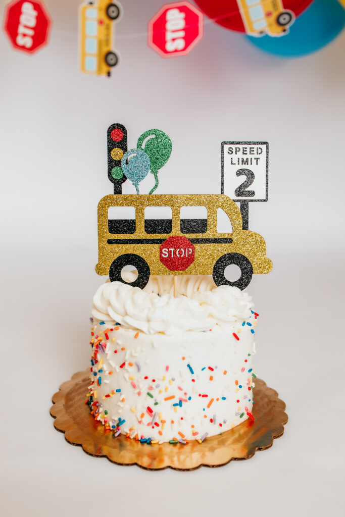 smash cake for milestone session