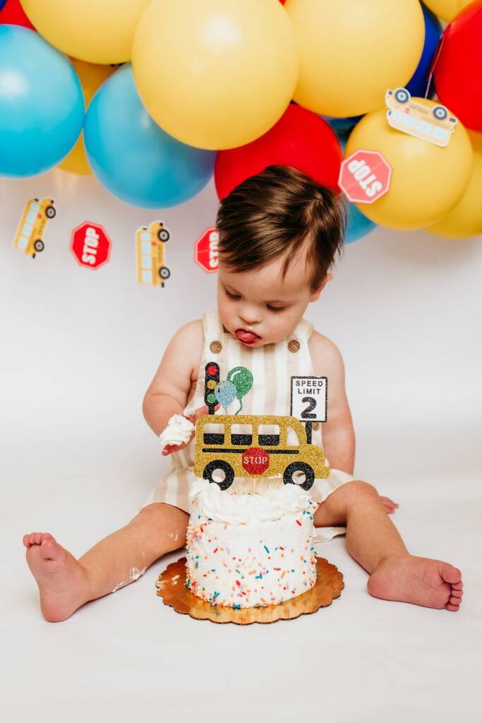 Nashville 2nd birthday milestone session